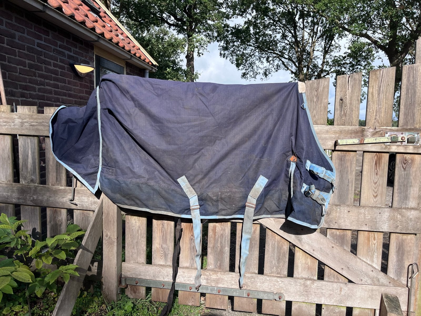 Epplejeck deken 200 grams pony 104 x 155, Dieren en Toebehoren, Ophalen of Verzenden