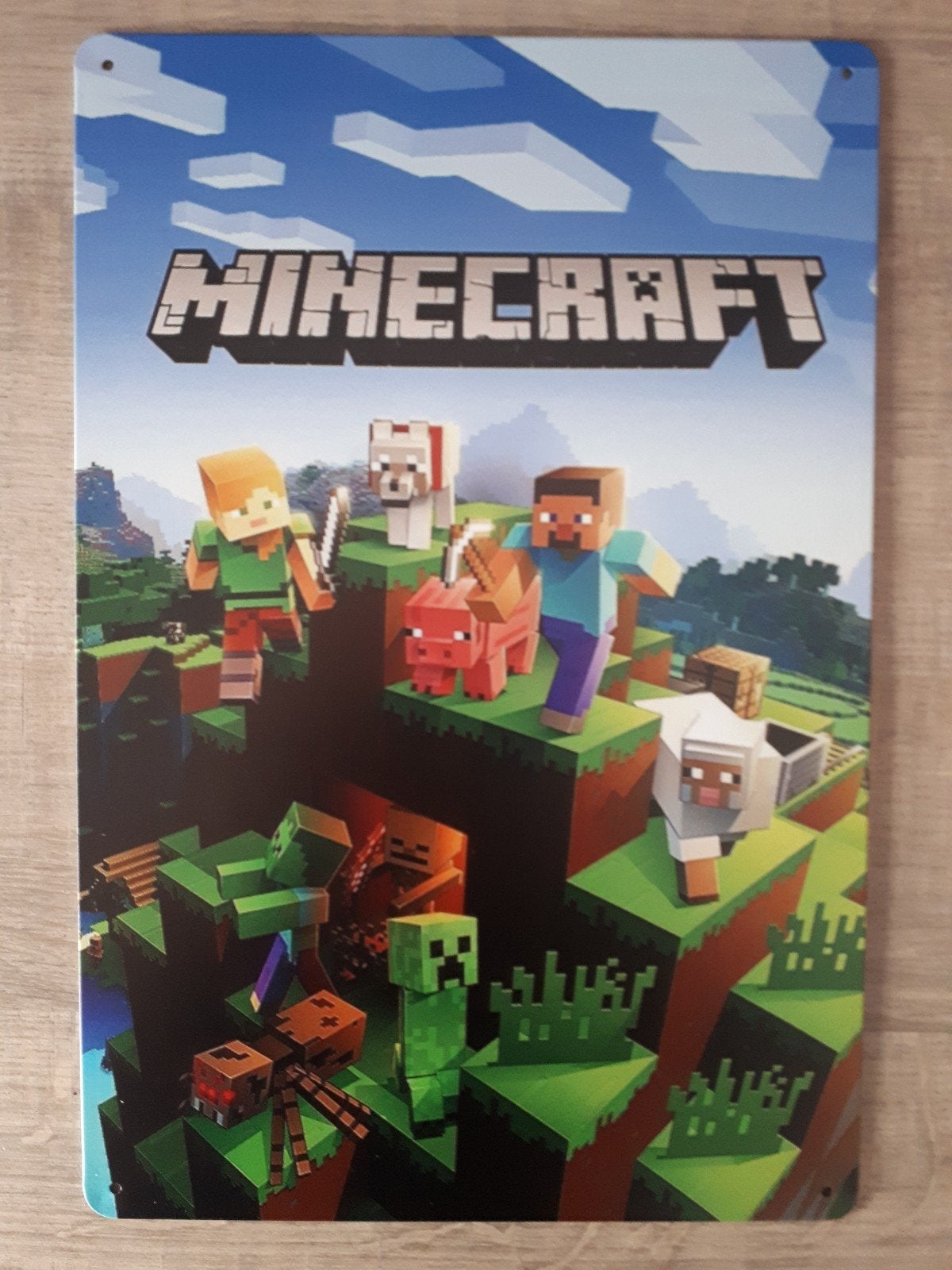 Minecraft 20x30 cm Metalen Reclamebord, Ophalen of Verzenden, Nieuw, Reclamebord