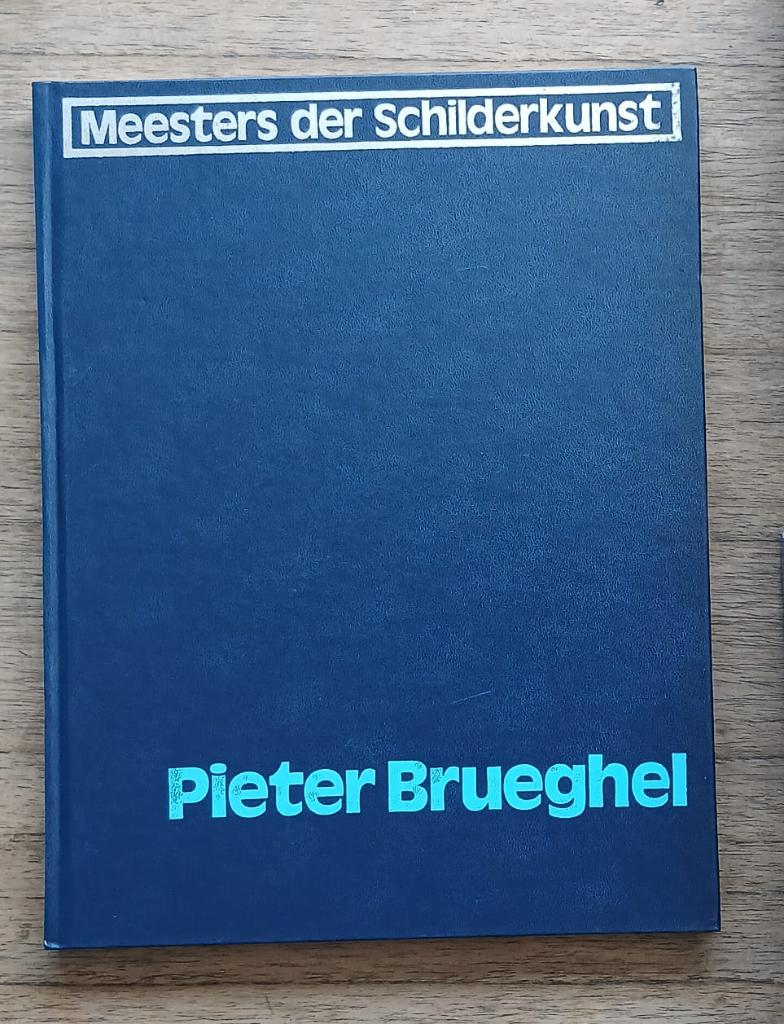 Brueghel kunstboek, Boeken, Ophalen of Verzenden, Zo goed als nieuw
