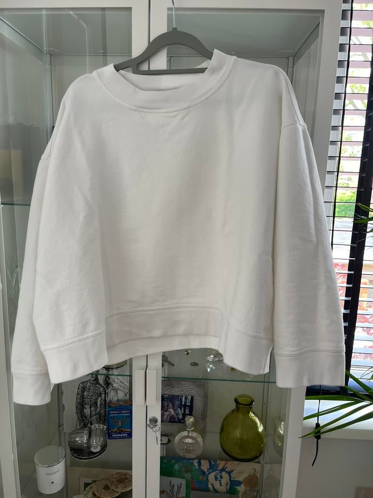 Sofie d” hoore sweater 42 als nieuw!, Kleding | Dames, Truien en Vesten, Ophalen of Verzenden, Zo goed als nieuw, Maat 42/44 (L)