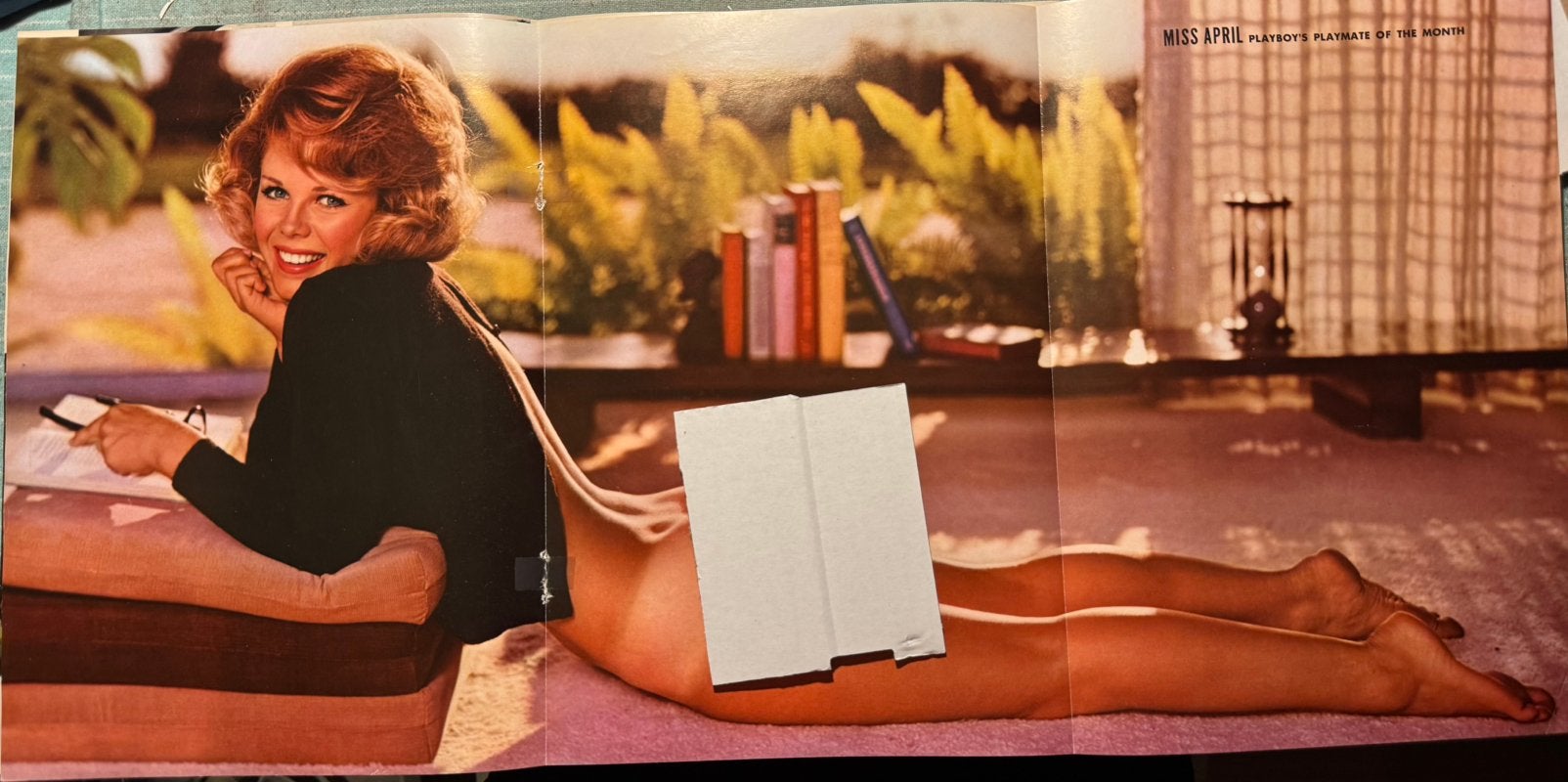 Poster 1965 Playmate Sue Williams Playboy, Rechthoekig Staand, Verzenden, Deurposter of groter, Zo goed als nieuw