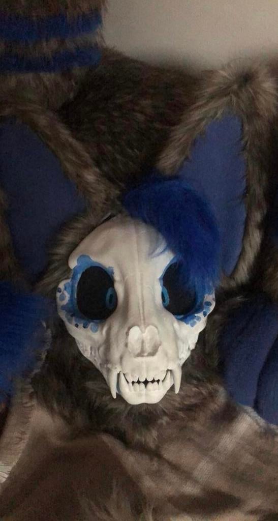 Digitgrade fursuit, Ophalen of Verzenden, Zo goed als nieuw
