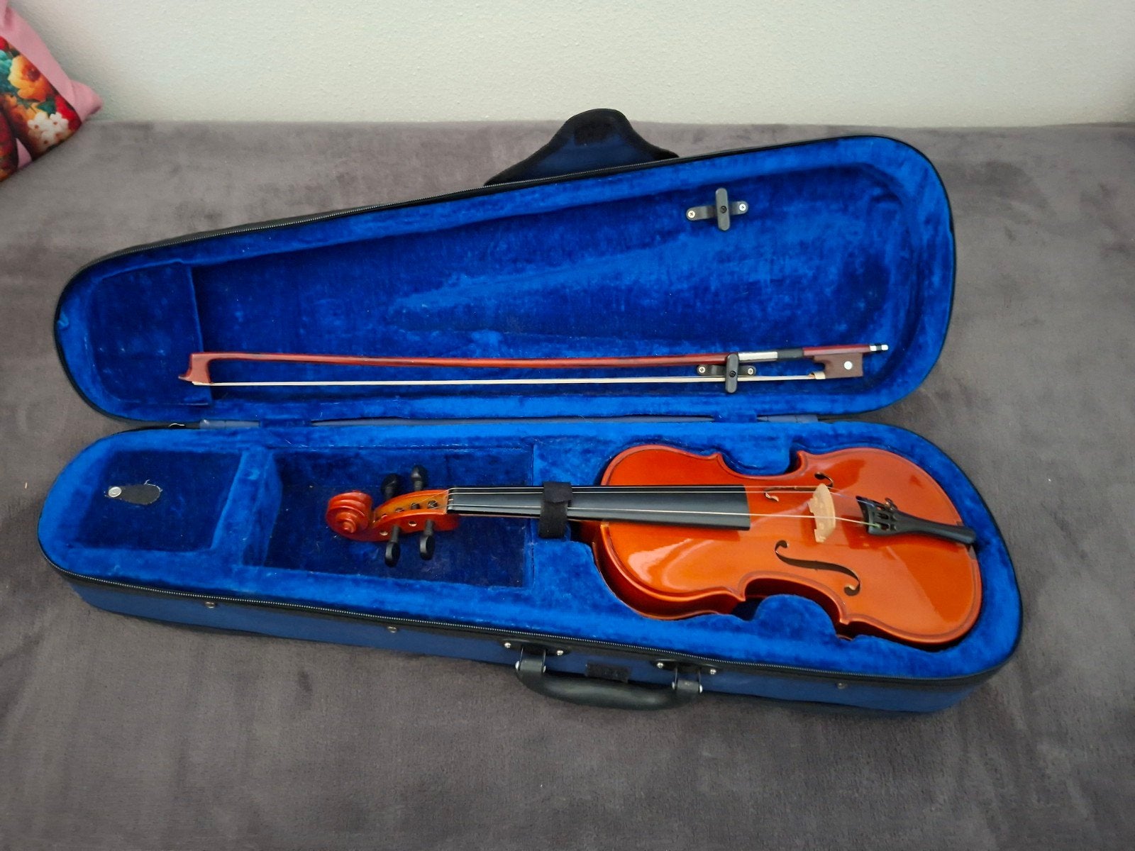 viool, Muziek en Instrumenten, Ophalen of Verzenden, 4/4-viool