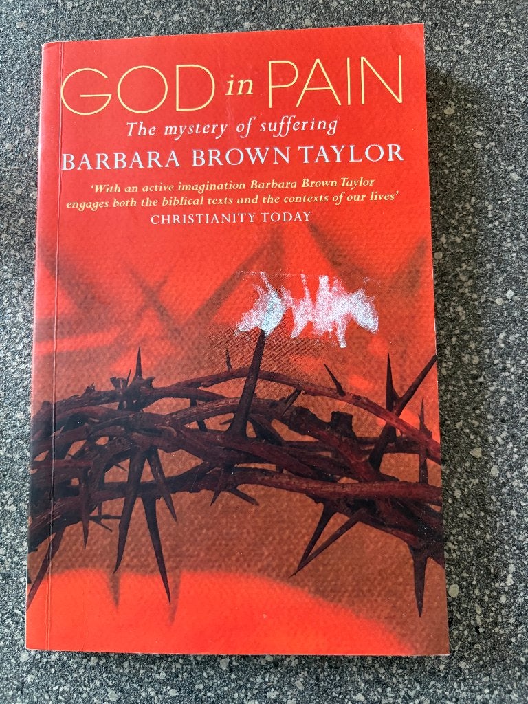 Brown Taylor, Barbara - God in Pain, Boeken, Ophalen of Verzenden, Gelezen