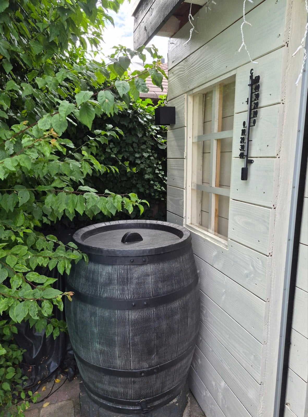 Regenton, Tuin en Terras, Regentonnen, Ophalen, Kunststof, Met kraantje, 150 liter of meer