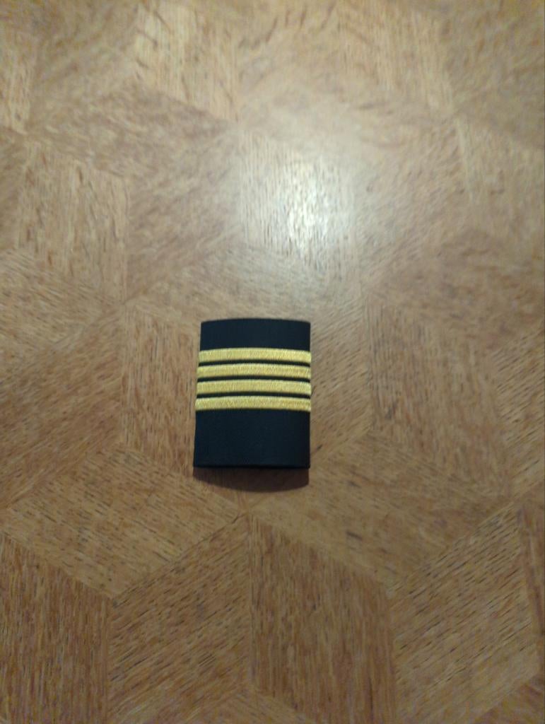 Piloot schuifpallet, Ophalen of Verzenden, Landmacht, Nederland