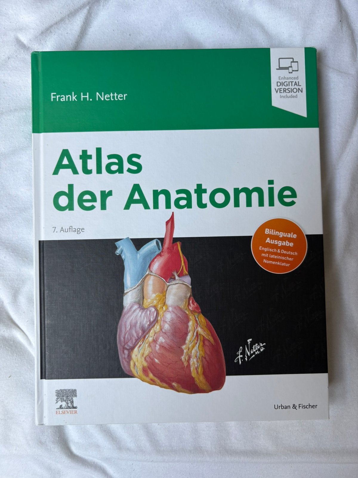Anatomie studieboek, Ophalen of Verzenden, Beta, Zo goed als nieuw, HBO