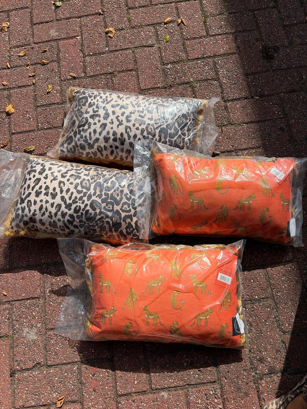 Nieuwe sierkussens Patty Brard, Overige merken, Nieuw, Sierkussen, Dubbelzijdig