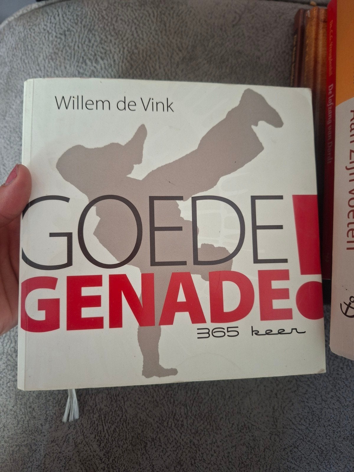 Goede Genade! 365 keer - Willem de Vink, Ophalen of Verzenden, Zo goed als nieuw, Willem de Vink, Nederland