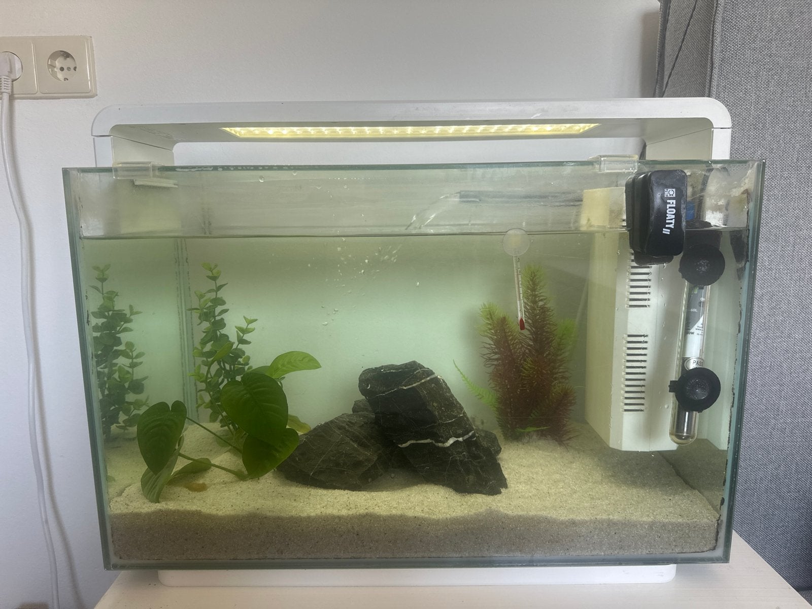 Aquarium, Dieren en Toebehoren, Ophalen