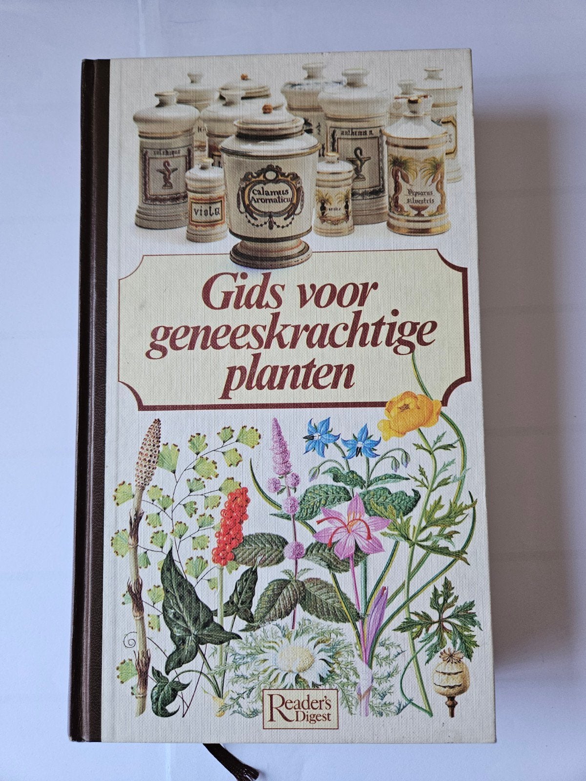 Gids voor geneeskrachtige planten J.C. Bottelier, Ophalen of Verzenden, Zo goed als nieuw, Kruiden en Alternatief