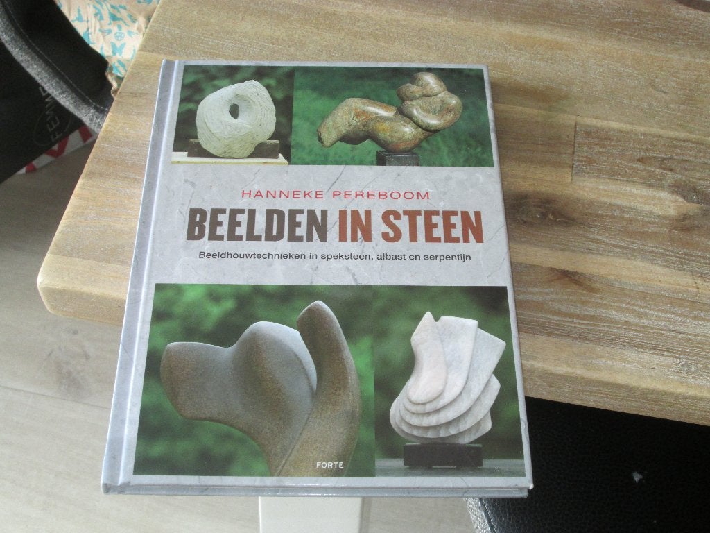 Beelden in Steen - Hanneke Pereboom, Ophalen of Verzenden, Nieuw, Overige onderwerpen, Hanneke Pereboom