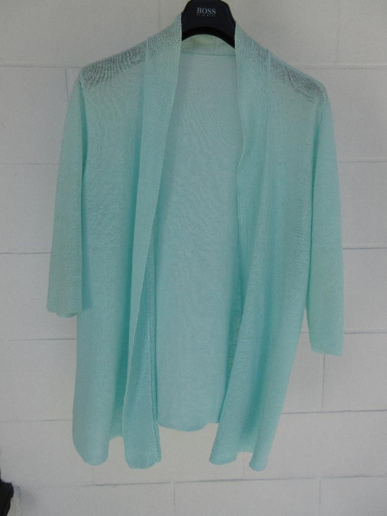 ZEEGROEN TWIN-SET,  MAAT 52, 100% LINNEN, PETER HAHN, Overige kleuren, Maat 46/48 (XL) of groter, Ophalen of Verzenden, Zo goed als nieuw