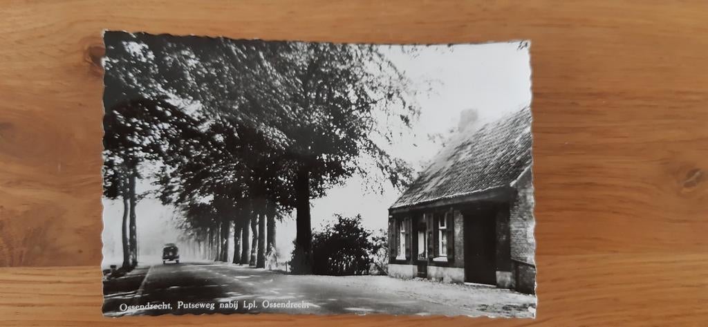 Ossendrecht Putseweg nabij lpl., Ophalen of Verzenden, 1940 tot 1960, Ongelopen, Noord-Brabant