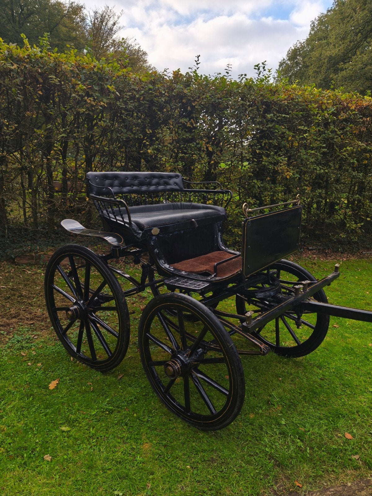 Hackney Spyder op rubber, Dieren en Toebehoren, Gebruikt, Overige typen, Pony