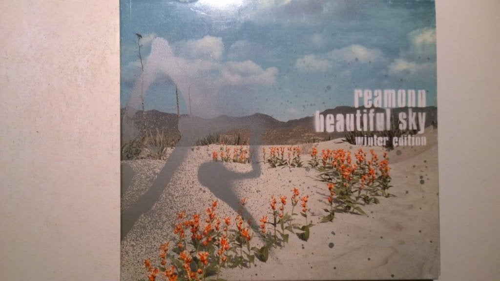 Reamonn - Beautiful Sky (Winter Edition), Cd's en Dvd's, Ophalen of Verzenden, Zo goed als nieuw, Poprock