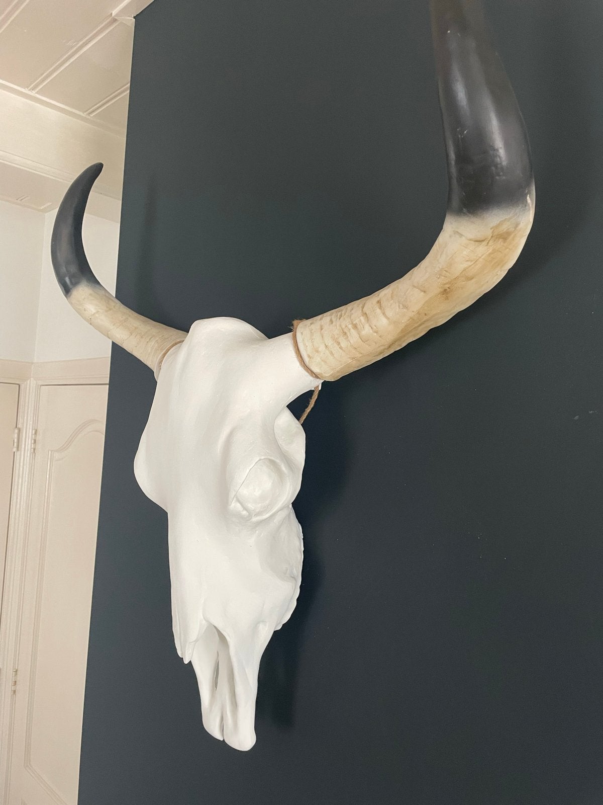 Decoratieve Buffelschedel met Hoorns - Wanddecoratie, Huis en Inrichting, Woonaccessoires | Overige, Ophalen, Overige materialen