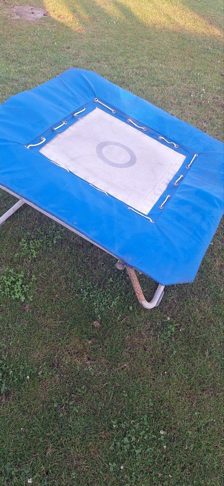 Kleine trampoline (plankoline) voor kinderen, Kinderen en Baby's, Speelgoed | Buiten | Trampolines, Ophalen, Gebruikt