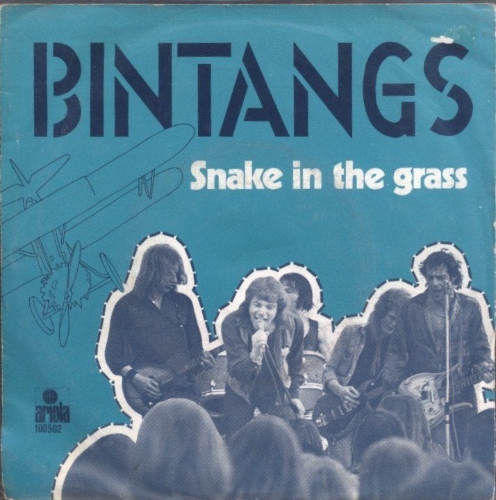 Single  -  BINTANGS - Snake in the grass, Ophalen of Verzenden, Gebruikt, Pop
