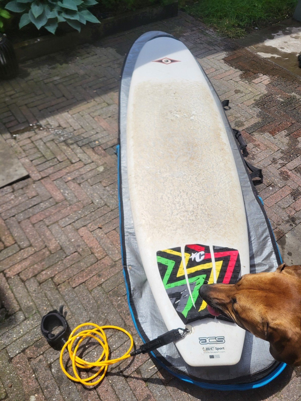 8 feet surfplank bic BIC met boardbag golfsurf longboard, Watersport en Boten, Golfsurfen, Ophalen, Longboard