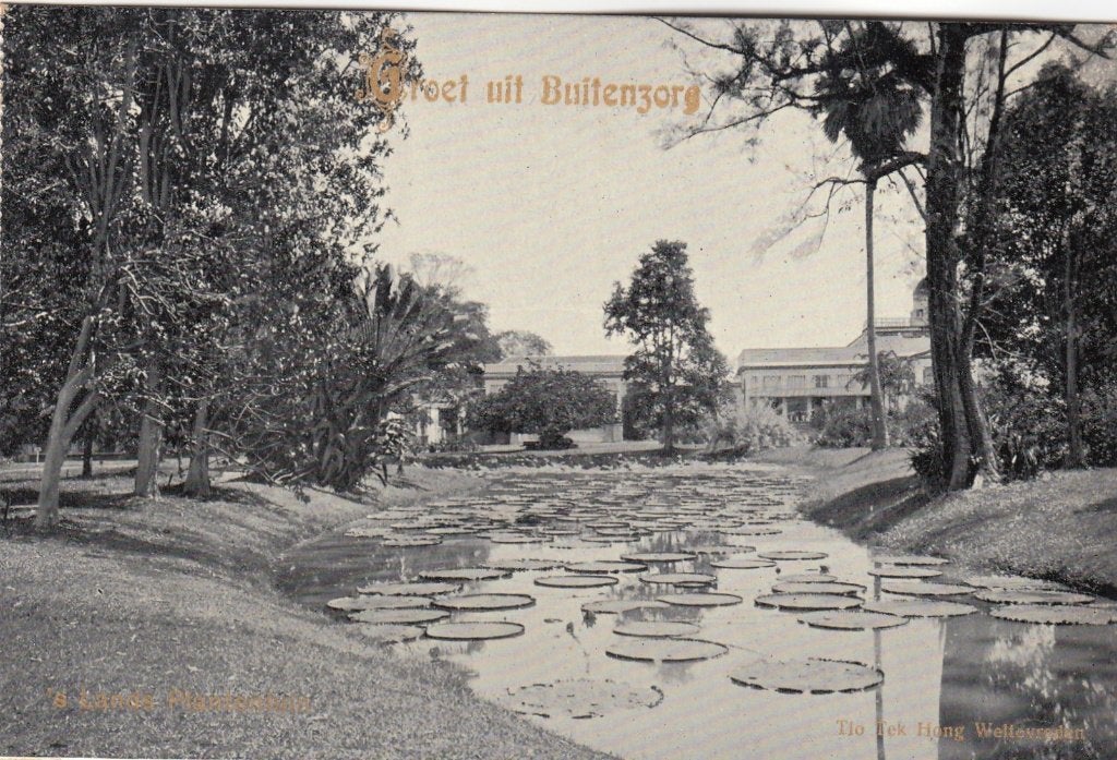 Ned.Indie - Buitenzorg, Verzamelen, Verzenden, 1920 tot 1940, Ongelopen, Buiten Europa