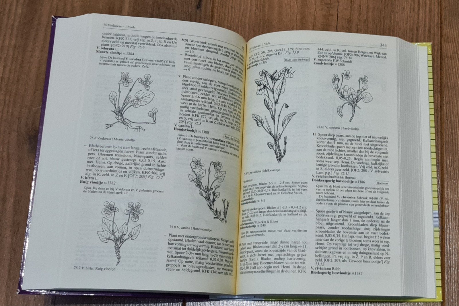 Heukels, Ophalen of Verzenden, Zo goed als nieuw, Bloemen, Planten en Bomen