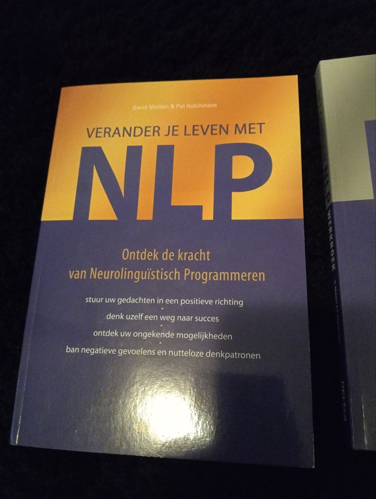 D. Molden - Verander je leven met NLP, Ophalen of Verzenden, D. Molden; P. Hutchinson, Ontwikkelingspsychologie, Zo goed als nieuw