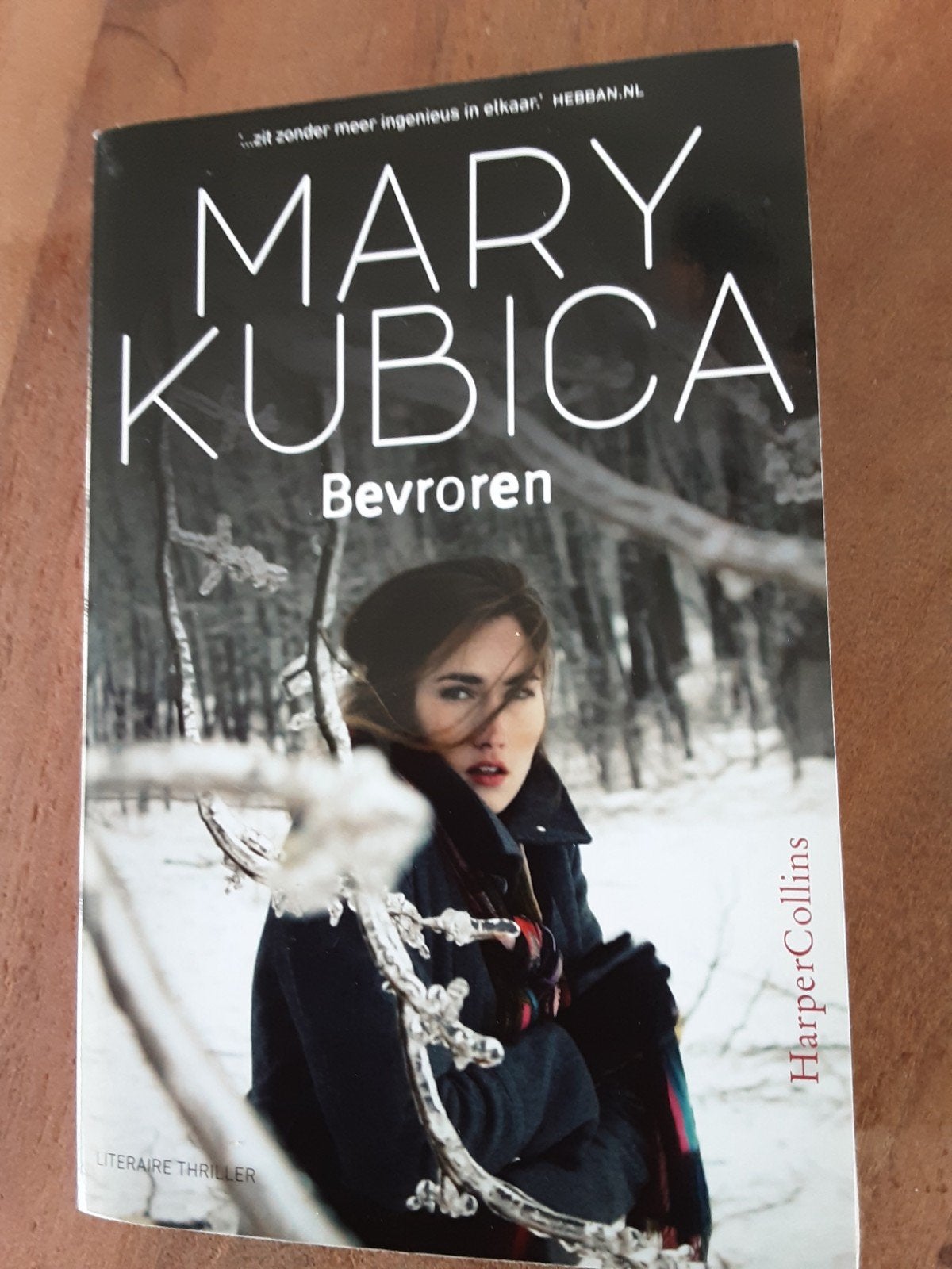 Mary Kubica / Bevroren. Hele spannende thriller., Boeken, Ophalen of Verzenden, Zo goed als nieuw
