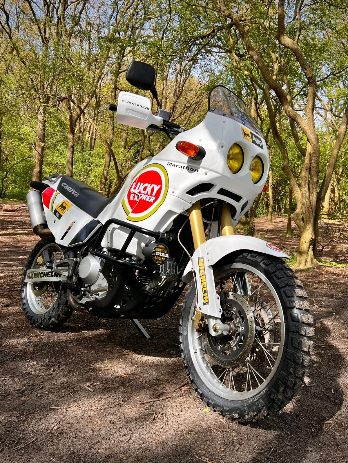 Cagiva Elefant Lucky Explorer 900cc Ducati, Motoren