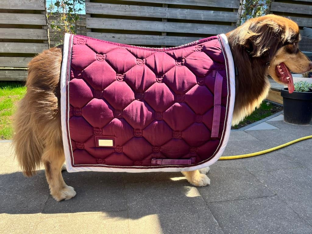 Equestrian Stockholm purple full dr, Dieren en Toebehoren, Ophalen of Verzenden, Zo goed als nieuw