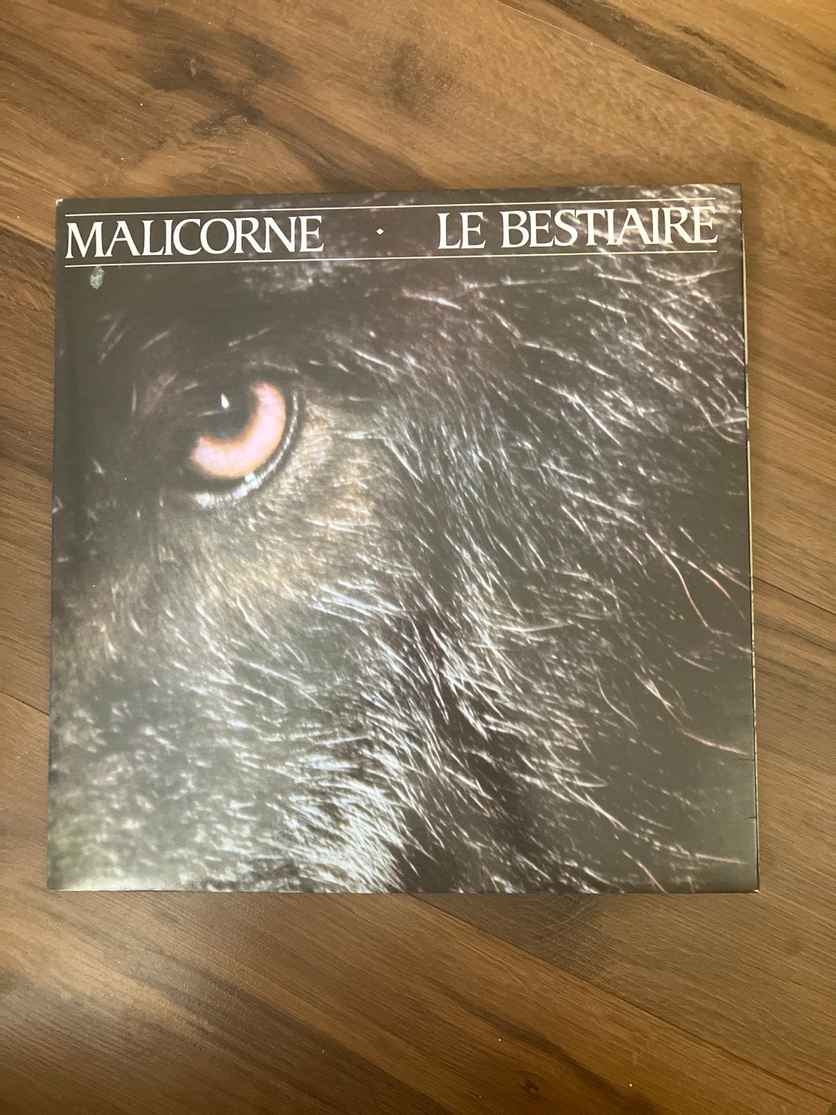 Malicorne - Le Bestiaire LP (Vinyl), Ophalen of Verzenden, 1970 - 1979, Gebruikt