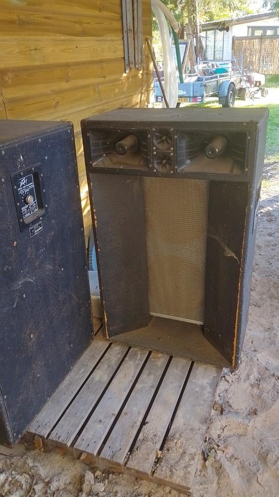 Peavey c600 150 watt 4 ohm speakers, Audio, Tv en Foto, Luidsprekers, Ophalen, 120 watt of meer, Subwoofer, Overige merken