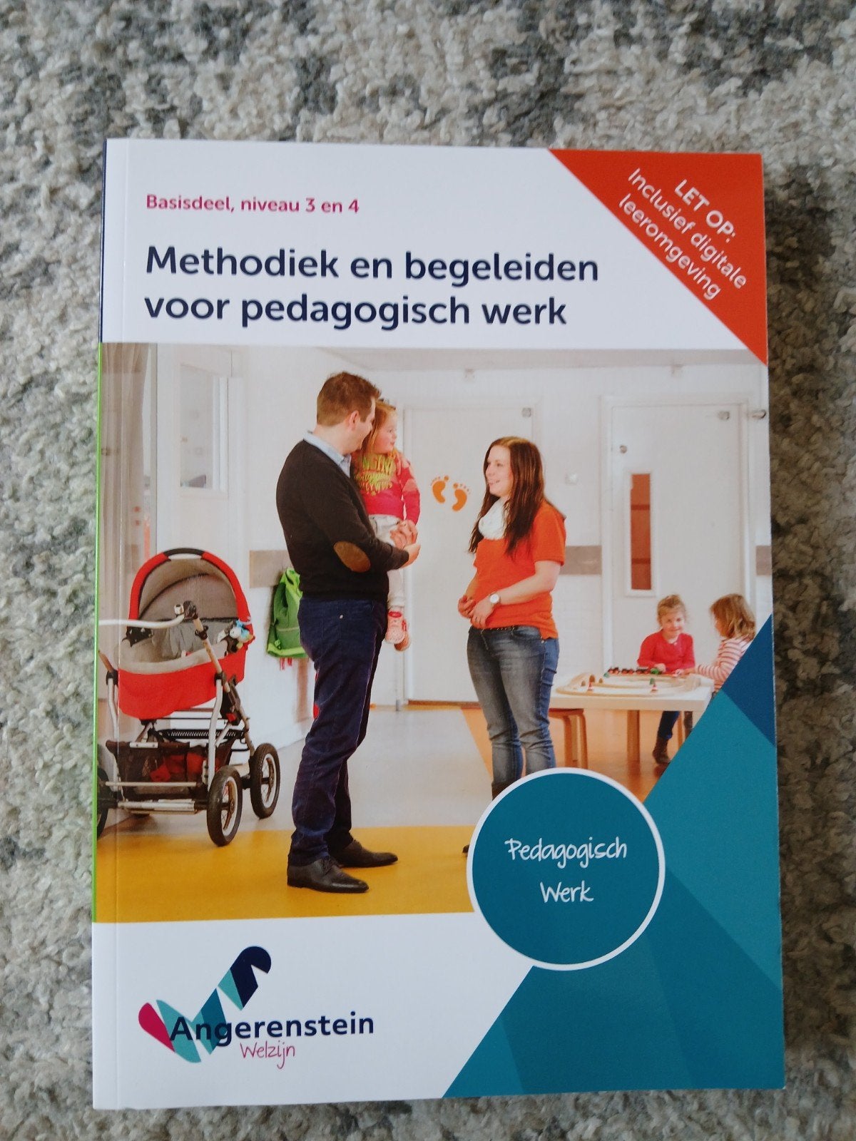Methodiek en begeleiden voor pedagogisch werk, Boeken, Ophalen of Verzenden, Zo goed als nieuw, Overige niveaus