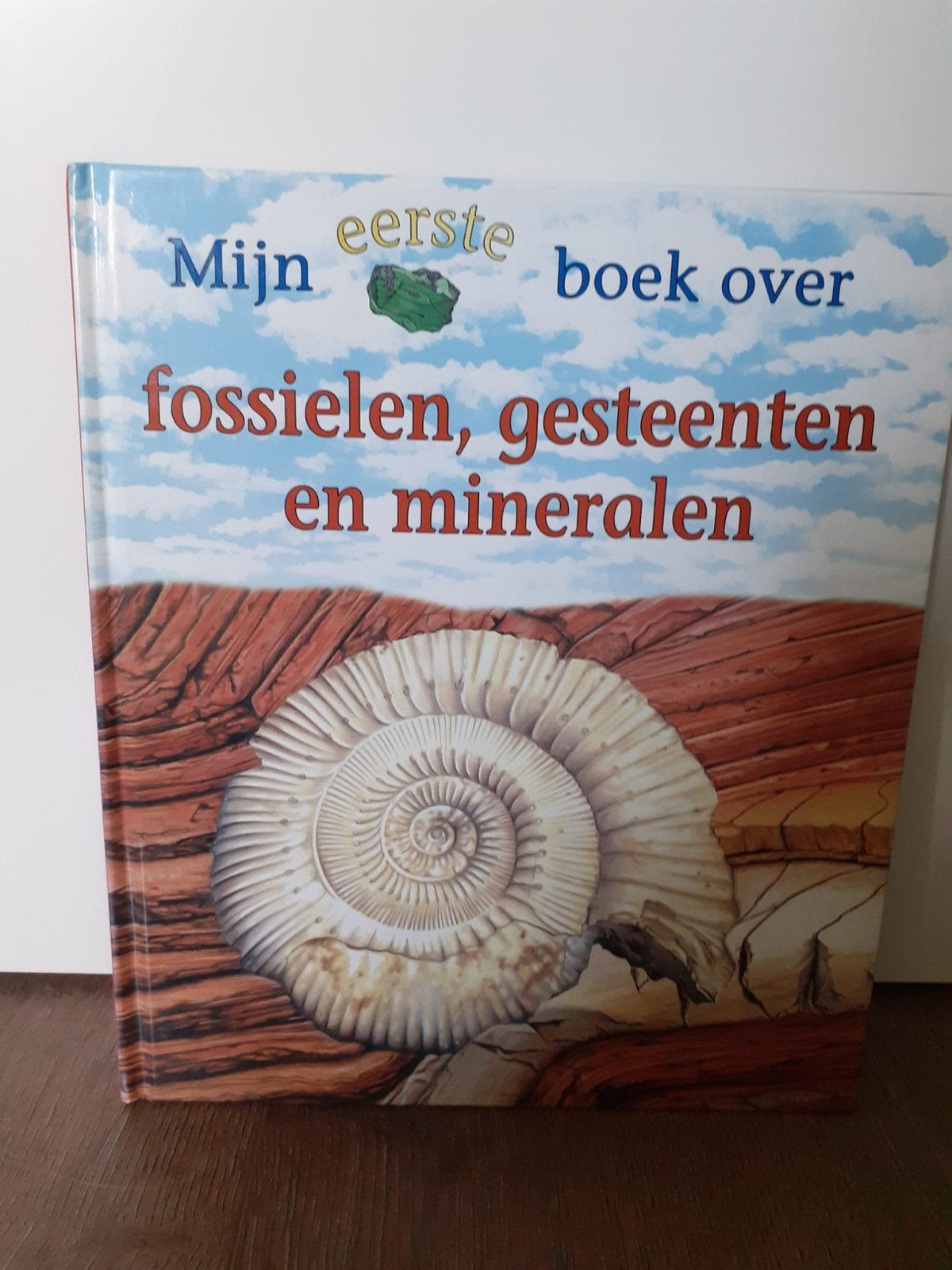 Mijn eerste boek over fossielen, gesteenten en mineralen, Boeken, Natuur, Ophalen of Verzenden, Zo goed als nieuw, Bloemen, Planten en Bomen
