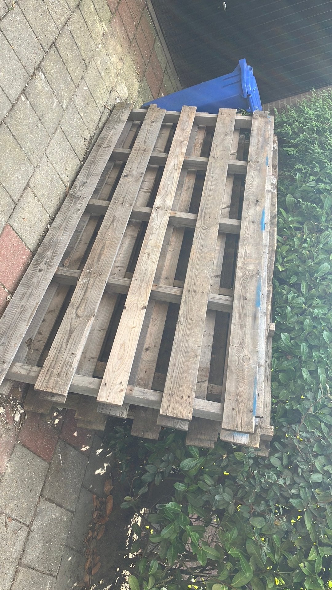 3 grote pallets gratis af te halen (260x120 cm), Ophalen of Verzenden, Gebruikt, 250 tot 300 cm, Pallet
