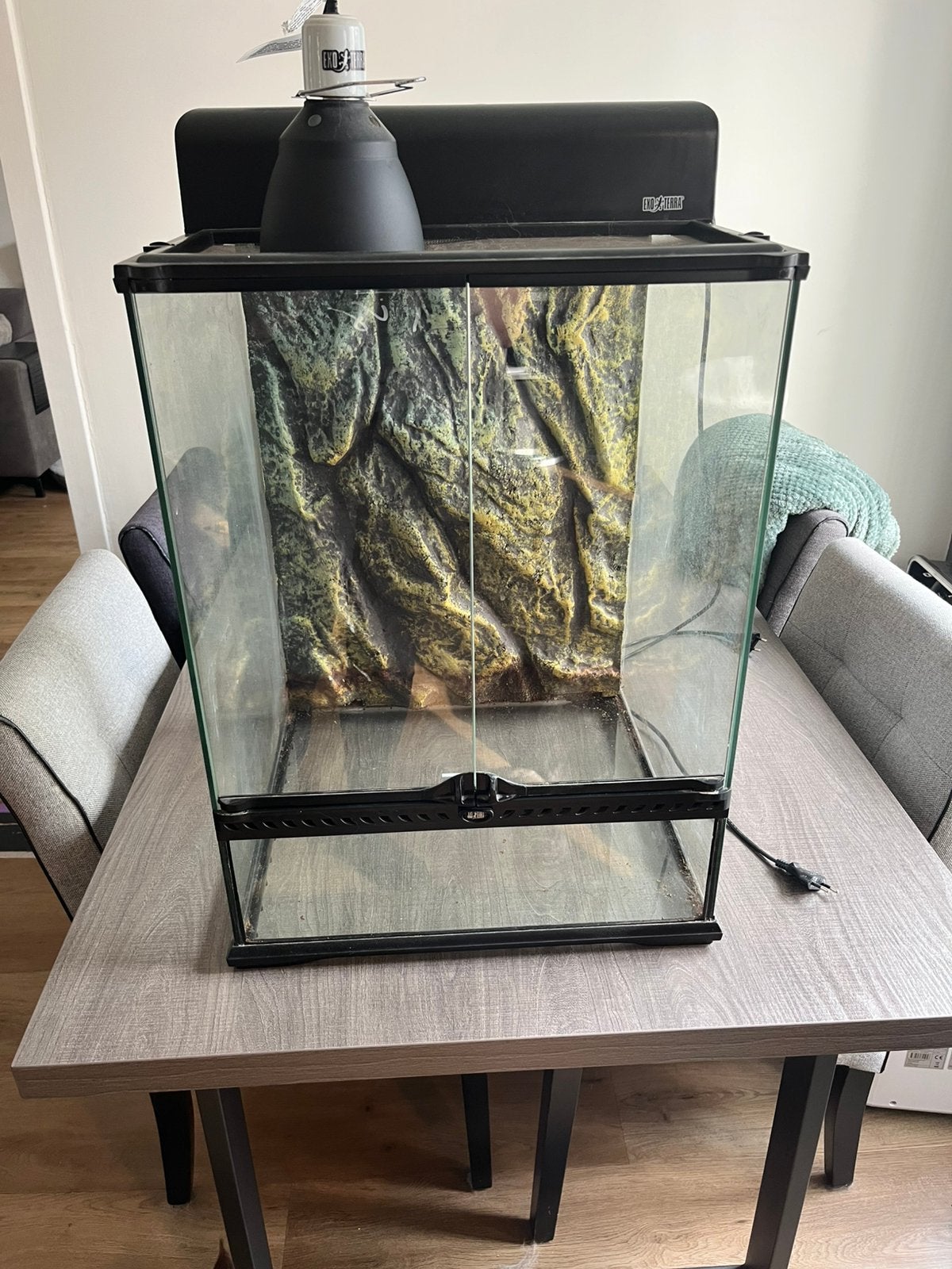 Terrarium 45x45x60, Ophalen, Zo goed als nieuw, Terrarium of Paludarium