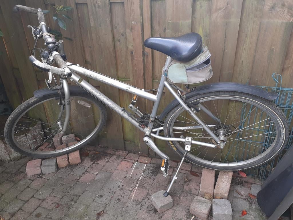 Raleigh mountainbike, Gebruikt, 49 tot 53 cm, Dames, Geen vering