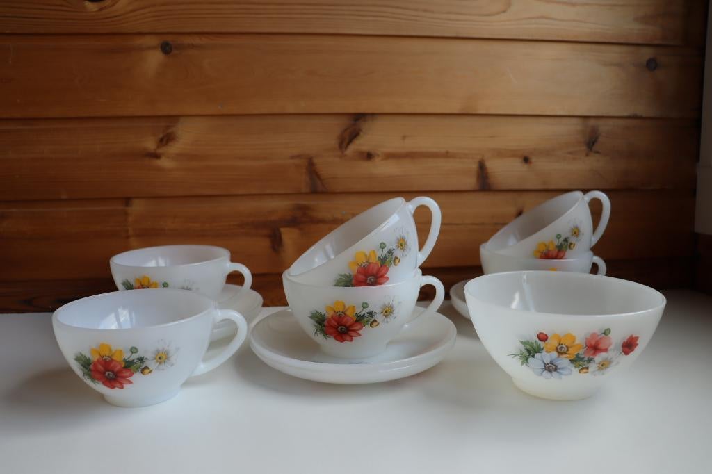 Arcopal service, Ophalen, Glas of Glazen, Overige stijlen, Glas