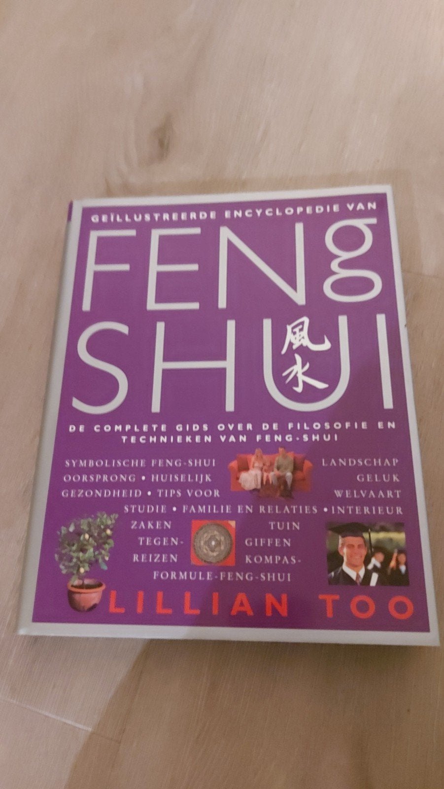 Geïllustreerde Encyclopedie van Feng Shui - Lillian Too, Boeken, Gelezen, Ophalen of Verzenden, Los deel, Lillian Too