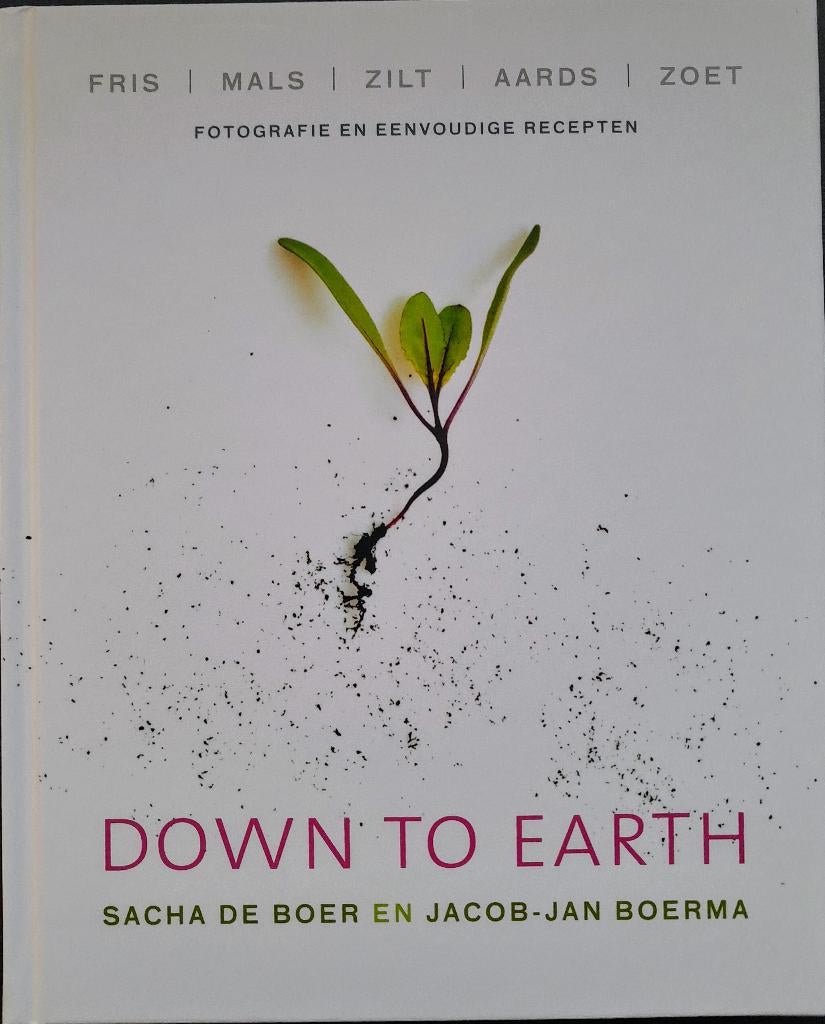 Sacha de Boer - Down to earth, Boeken, Ophalen of Verzenden, Zo goed als nieuw, Europa