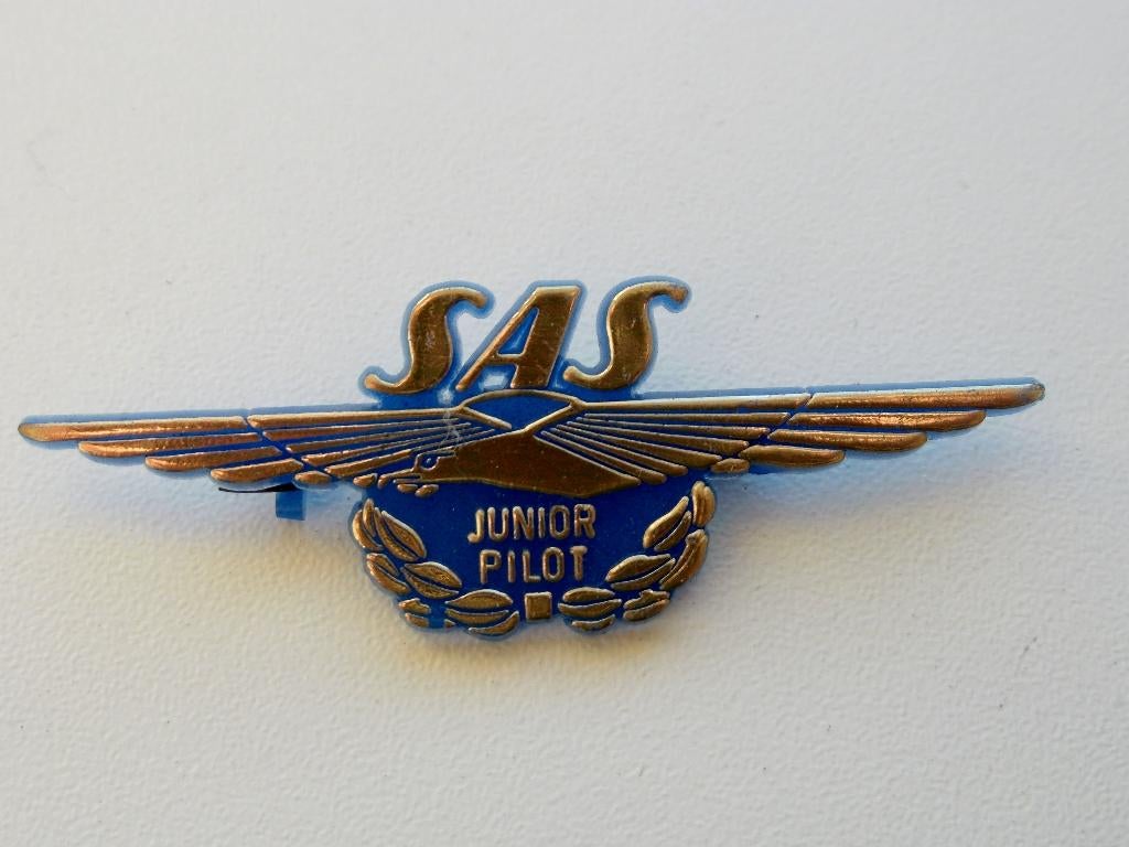 Plastic SAS Junior Pilot wing, Verzenden, Schaalmodel