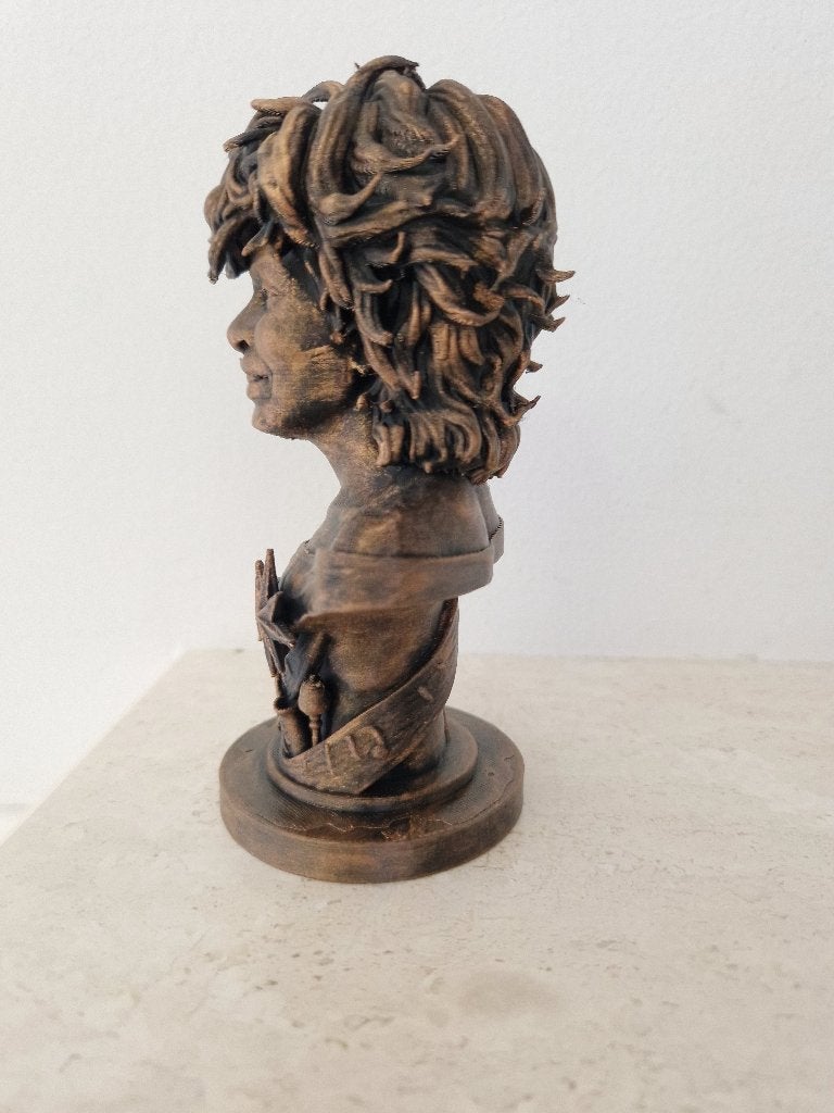 Nieuwe buste tina turner, Ophalen of Verzenden, Nieuw, Pop, Beeldje of Miniatuur