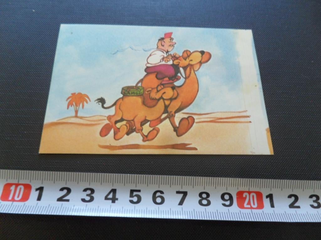 sticker CAMEL  kameel, Ophalen, Zo goed als nieuw