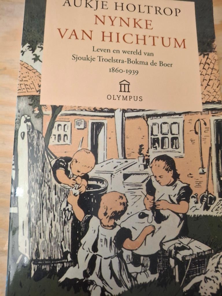 Nynke van Hichtum Sjoukje Troelstra-Bokma de Boer 1860- 1939, Gelezen, Aukje Holtrop, Verzenden, Overige