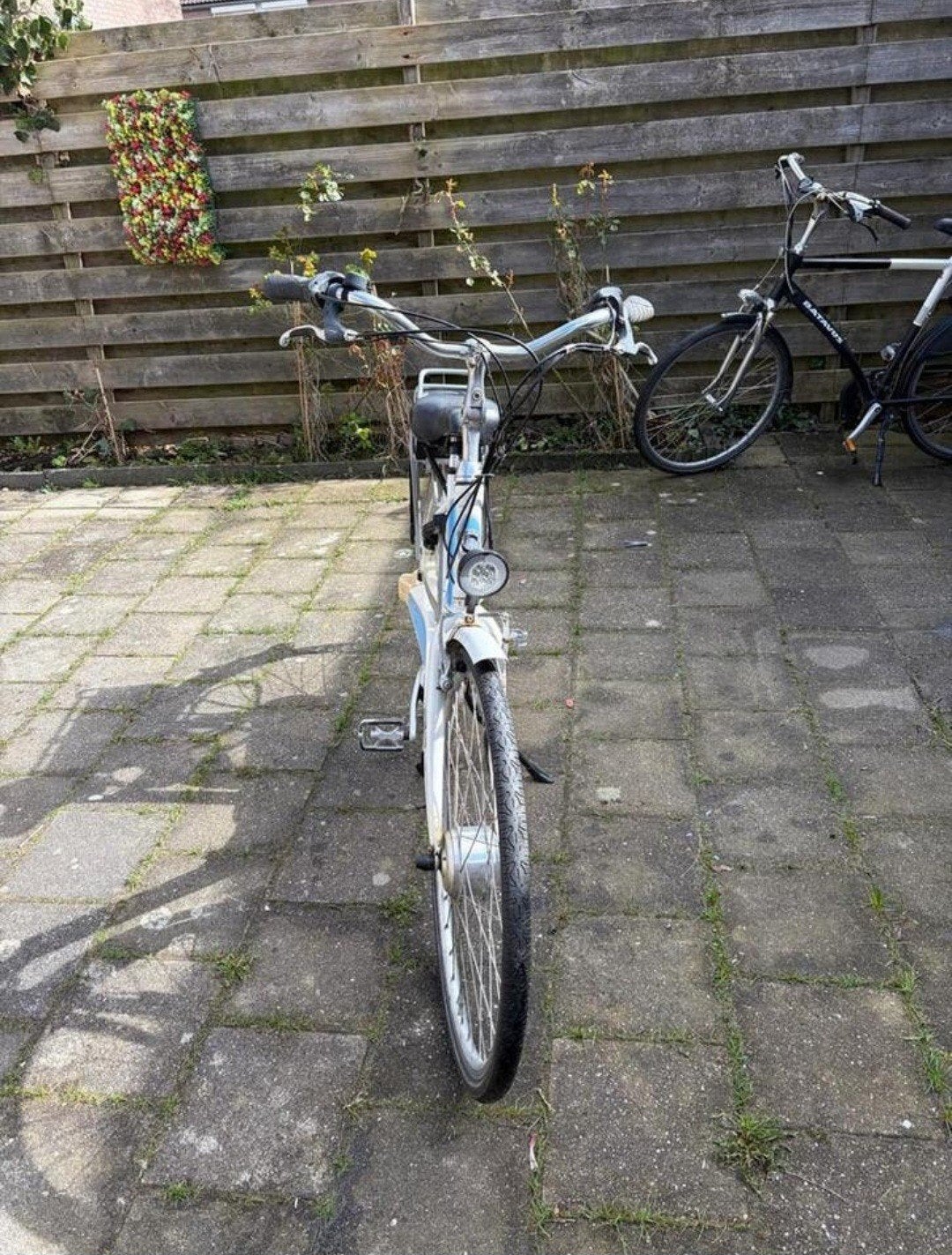 Elektrische fiets, Ophalen of Verzenden, Gebruikt, Overige merken