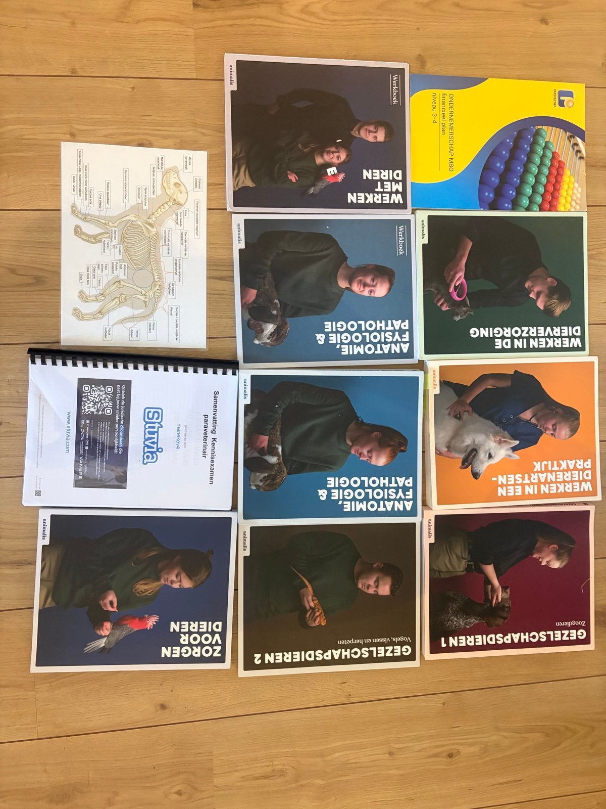 Paraveterinair opleiding boeken Animalis + Stuvia samenvatti, Ophalen of Verzenden, Zo goed als nieuw, Overige diersoorten
