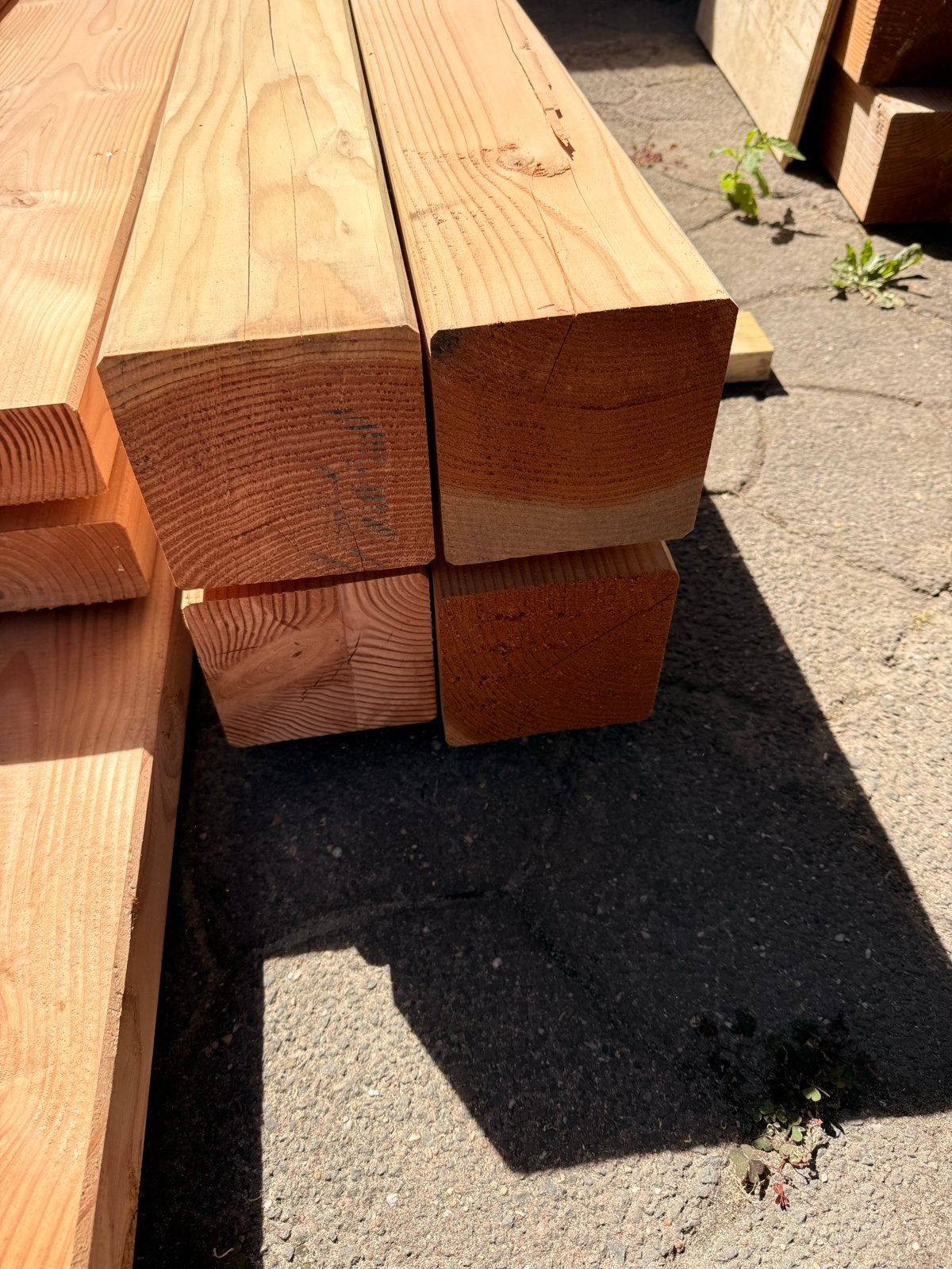 Douglas Palen Gedroogd en Geschaafd 145x145x2500 mm, Ophalen, Nieuw, 250 tot 300 cm, 50 mm of meer
