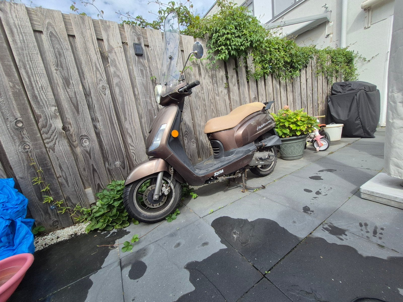 Sym Fiddle II Scooter - Bruin, Onderhoud nodig, Ophalen, Gebruikt, Maximaal 45 km/u, Benzine