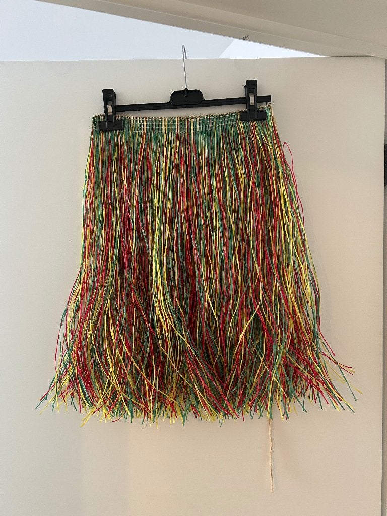 Verkleed kleding - Hawaii rokje, Ophalen, Gebruikt, Meisje