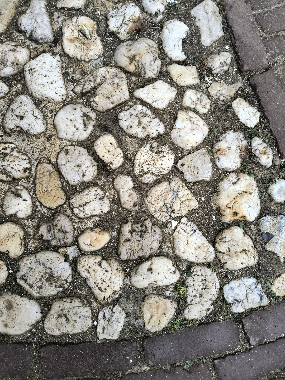 Maaskeien, vijverstenen, Tuin en Terras, Grind, Keien en Split, Ophalen of Verzenden
